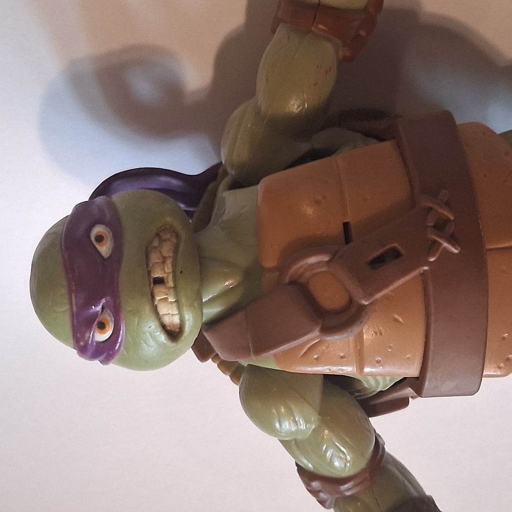 Ninga Turtle